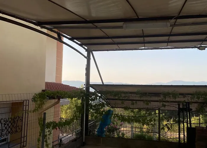 Volvi View *