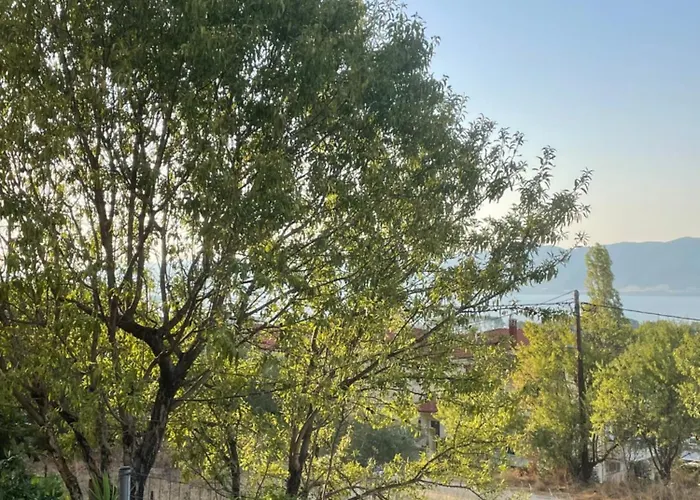 Apartamento Volvi View